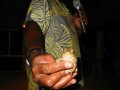 Thumbs/tn_Img_1210.jpg